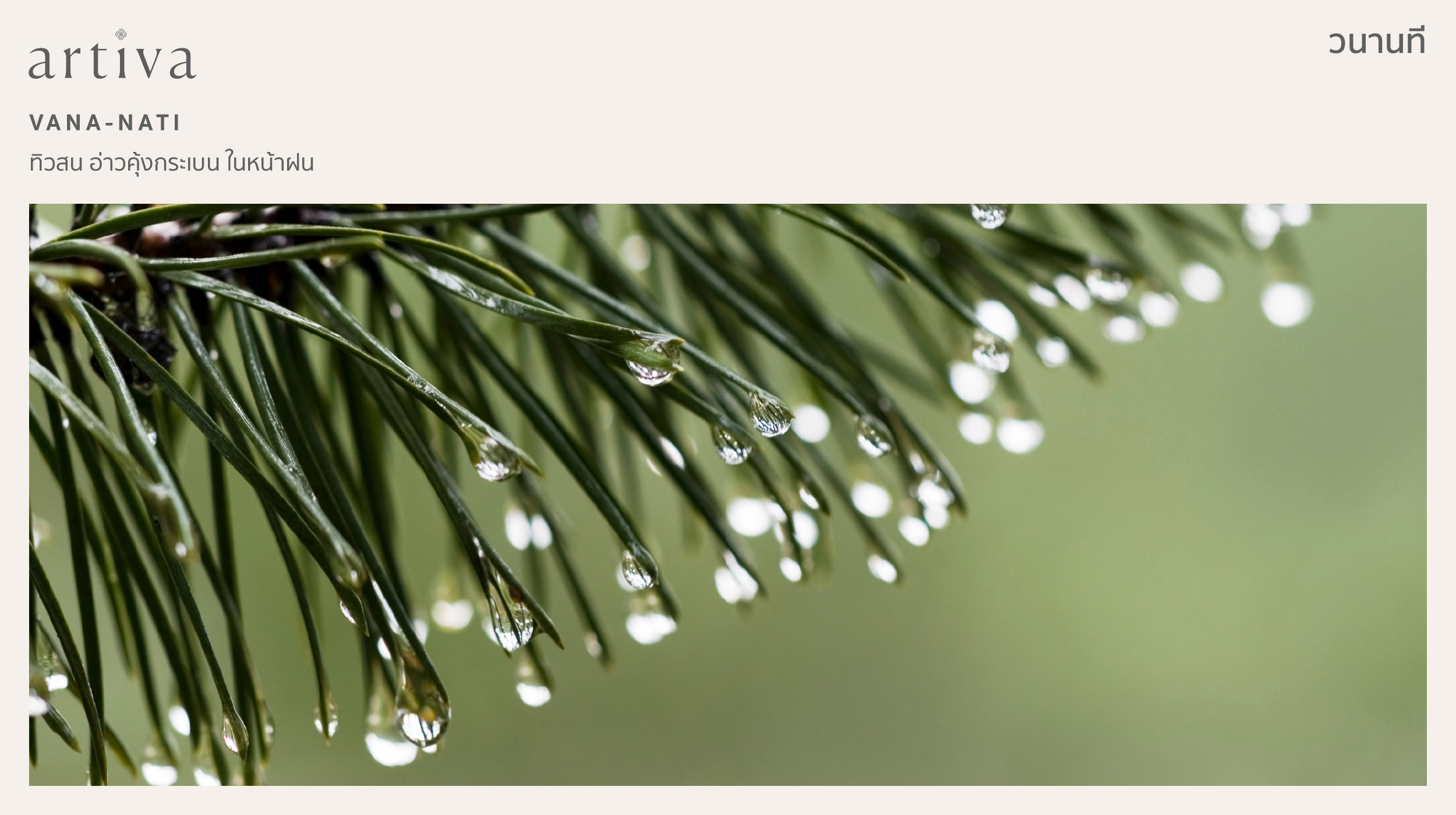 กลิ่น วนานที vana-nati