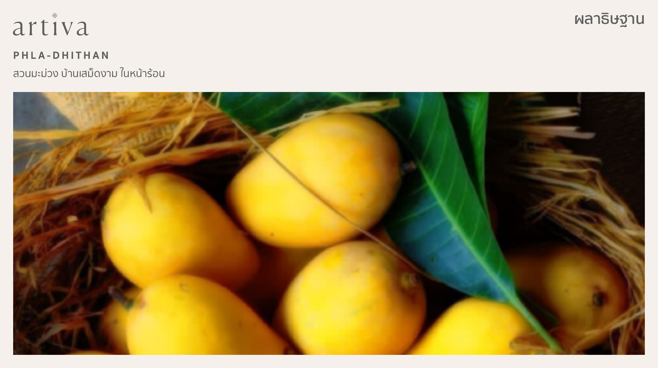 กลิ่น ผลาธิษฐาน phla-dhithan