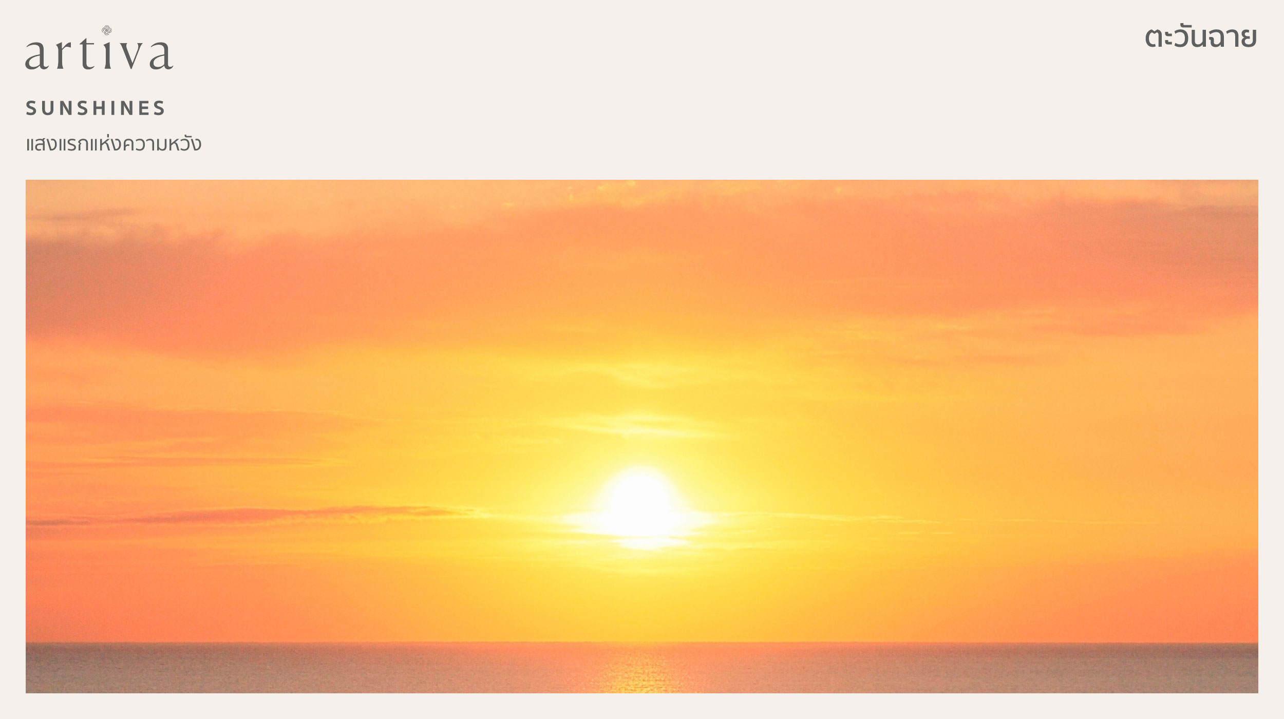 กลิ่น ตะวันฉาย sunshines