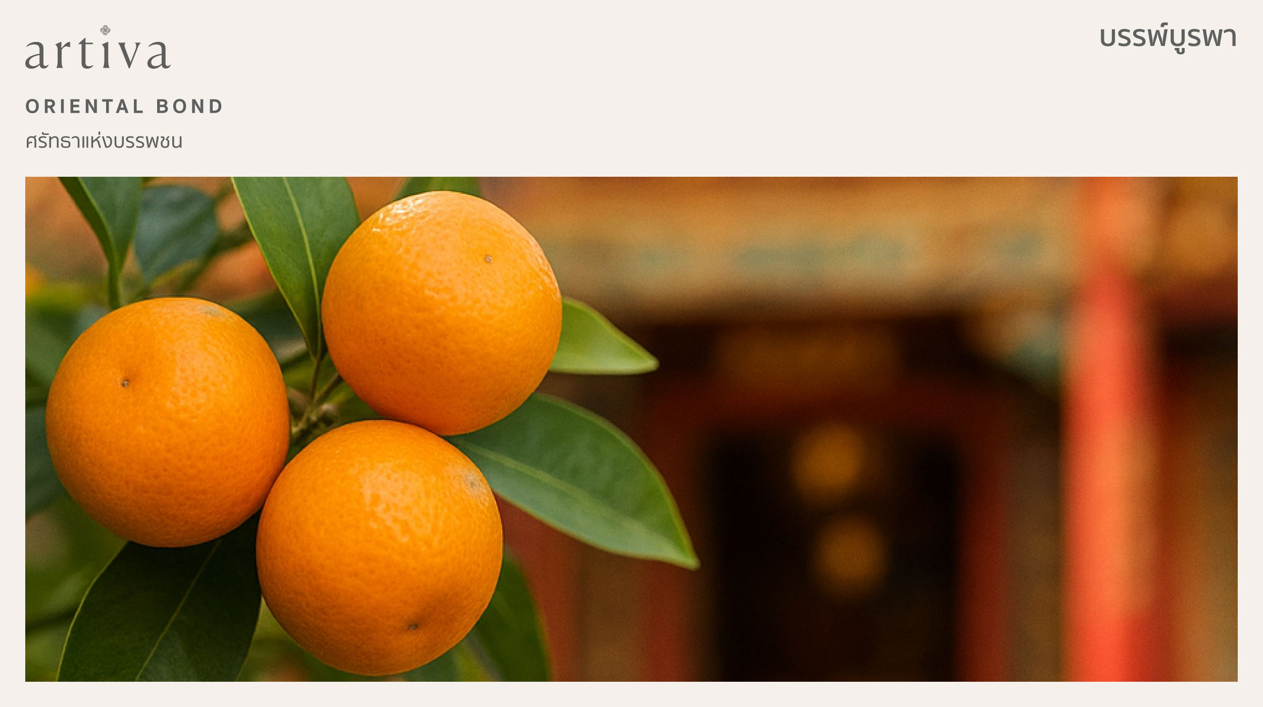 กลิ่น บรรพ์บูรพา Oriental Bond – Festive Edition 2025